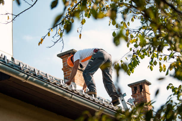 Quick and Trustworthy Emergency Roof Repair Services in Mount Pleasant, NC